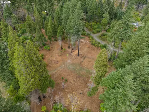51209 Blue River Dr, Vida, OR 97488 photo 2