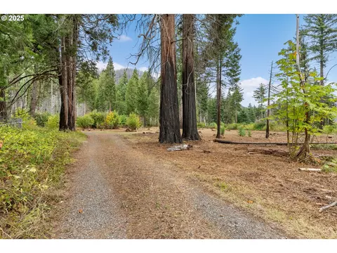 51209 Blue River Dr, Vida, OR 97488 photo 5