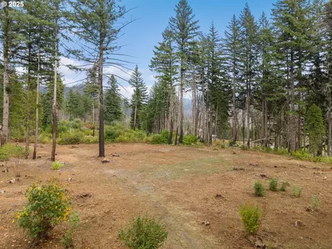 51209 Blue River Dr, Vida, OR 97488 photo 3