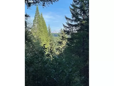 0 Matthews Rd #1, Washougal, WA 98671