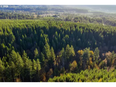 Nowakowski Rd, Banks, OR 97106