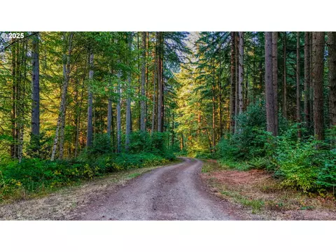 NW 389th St, Woodland, WA 98674