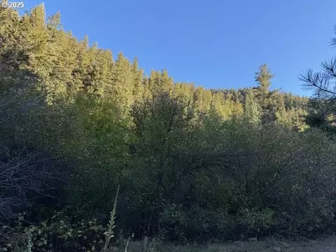 1 Armin Rd, Joseph, OR 97846 photo 11
