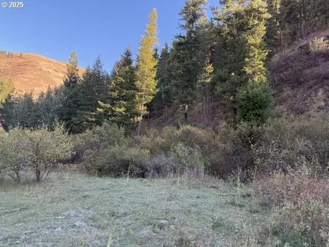 1 Armin Rd, Joseph, OR 97846 photo 12