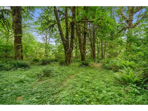 01000 W Trask River Rd, Tillamook, OR 97141