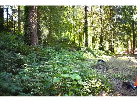 87835 Upland St, Springfield, OR 97478 photo 8