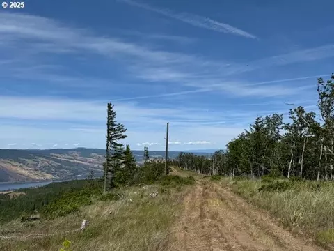 Huskey Rd, Mosier, OR 97040 photo 7