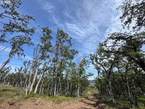 Huskey Rd, Mosier, OR 97040 photo 9