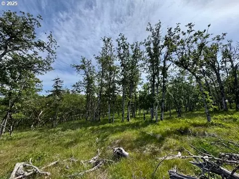 Huskey Rd, Mosier, OR 97040 photo 8