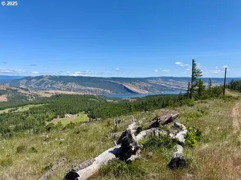 Huskey Rd, Mosier, OR 97040 photo 4