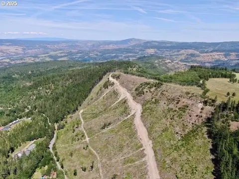 Huskey Rd, Mosier, OR 97040 photo 11