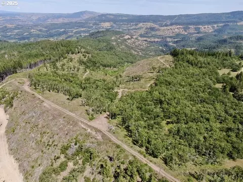 Huskey Rd, Mosier, OR 97040 photo 13