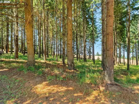 36905 SW Goddard Rd, Cornelius, OR 97113 photo 43