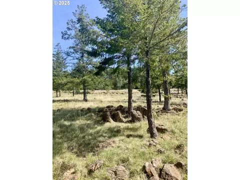 95645 Spirit Ridge Rd, Gold Beach, OR 97444