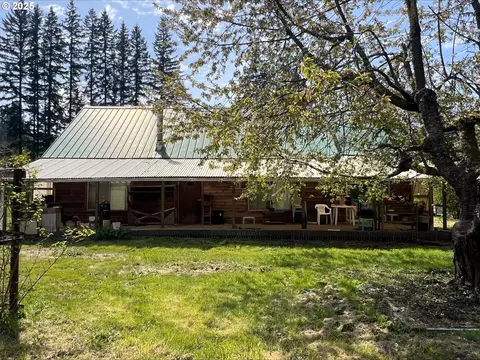 43 Trapp Creek Rd, Toledo, OR 97391