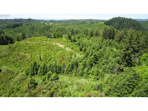 N Beaver Creek Rd, Seal Rock, OR 97376
