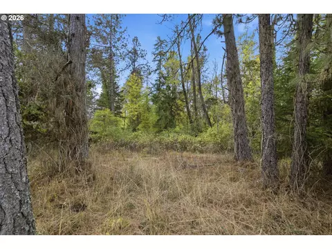Siesta Ln, Eugene, OR 97402 photo 14