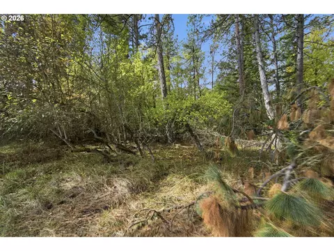 Siesta Ln, Eugene, OR 97402 photo 7