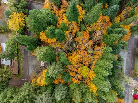 487 Montgomery Ave, Glendale, OR 97442 photo 14