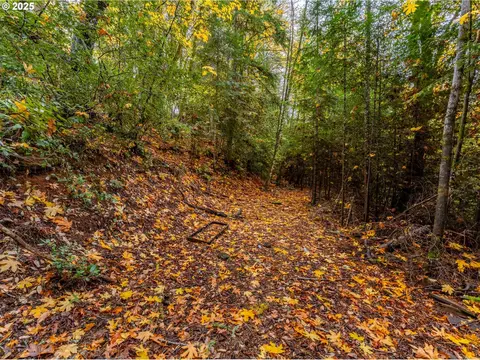 487 Montgomery Ave, Glendale, OR 97442 photo 7