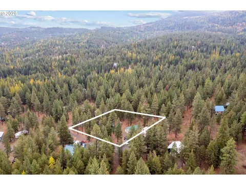 View/Area - 80982 Cougar Ln, Heppner, OR 97836 photo 5 of 9