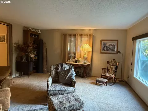 Living - 87511 Tiernan Rd, Mapleton, OR 97453 photo 4 of 6