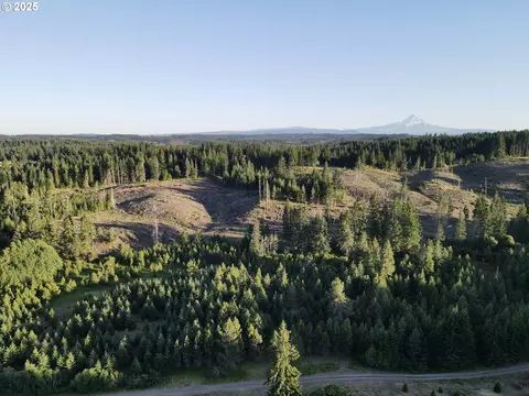 Mt Brook Ln, White Salmon, WA 98672