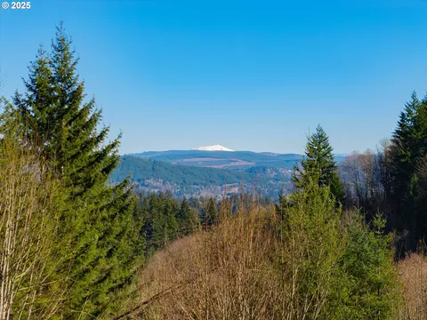 279 Trout Lakes Rd, Castle Rock, WA 98611