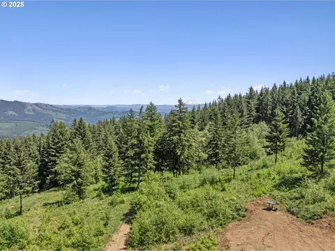 0 NE 298th Ct, Camas, WA 98607