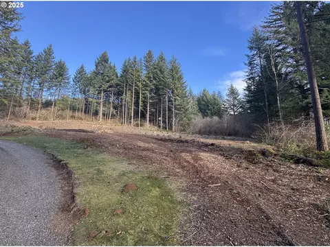 NE 65th St, Camas, WA 98607
