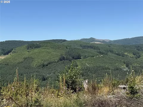 3725 Little Kalama River Rd, Woodland, WA 98674