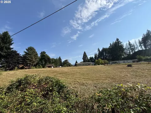 Wilkinson St, Carson, WA 98610