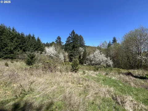 David Hill Rd, Forest Grove, OR 97116