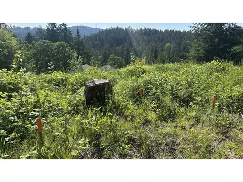 Wendell Ln, Eugene, OR 97405 photo 13