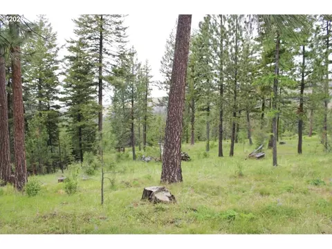 Other - 74926 Badger Ln, Heppner, OR 97836 photo 2 of 7