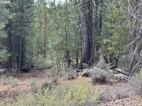 schoonover 8, Crescent, OR 97733 photo 39