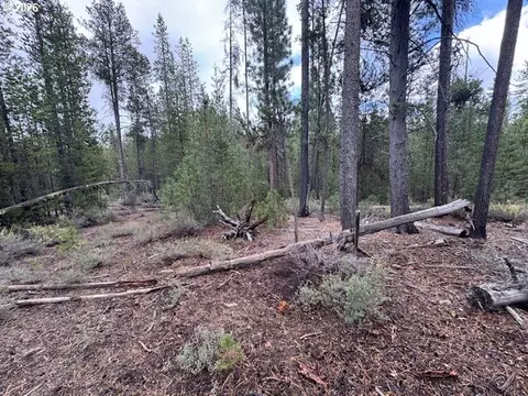 schoonover 8, Crescent, OR 97733 photo 12