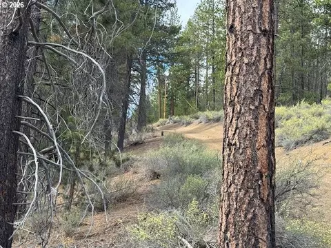 schoonover 8, Crescent, OR 97733 photo 37