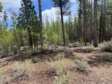 schoonover 8, Crescent, OR 97733 photo 30