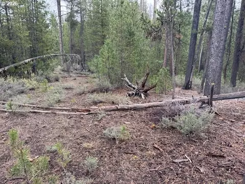 schoonover 8, Crescent, OR 97733 photo 11