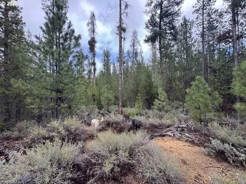 schoonover 8, Crescent, OR 97733 photo 19