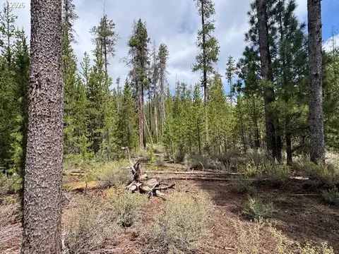 schoonover 8, Crescent, OR 97733 photo 33