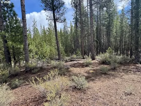schoonover 8, Crescent, OR 97733 photo 29