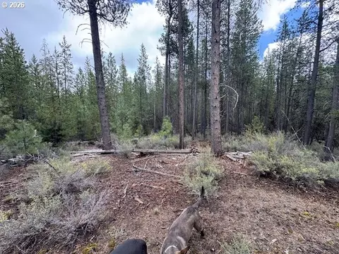 schoonover 8, Crescent, OR 97733 photo 13