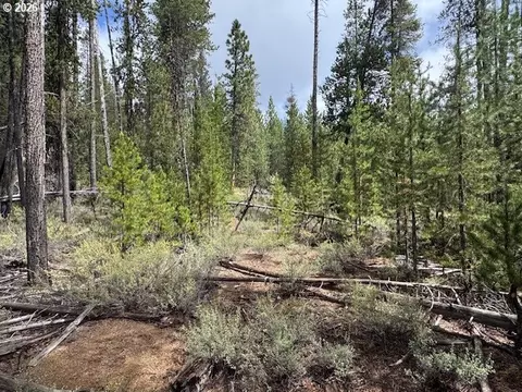 schoonover 8, Crescent, OR 97733 photo 26