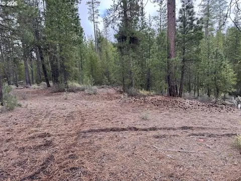 schoonover 8, Crescent, OR 97733 photo 8
