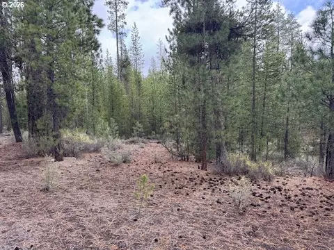 schoonover 8, Crescent, OR 97733 photo 3