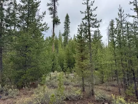 schoonover 8, Crescent, OR 97733 photo 16