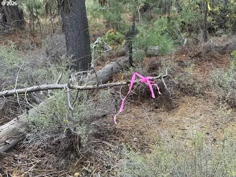 schoonover 8, Crescent, OR 97733 photo 35