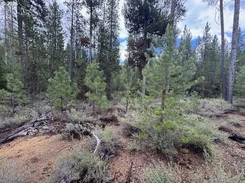 schoonover 8, Crescent, OR 97733 photo 18